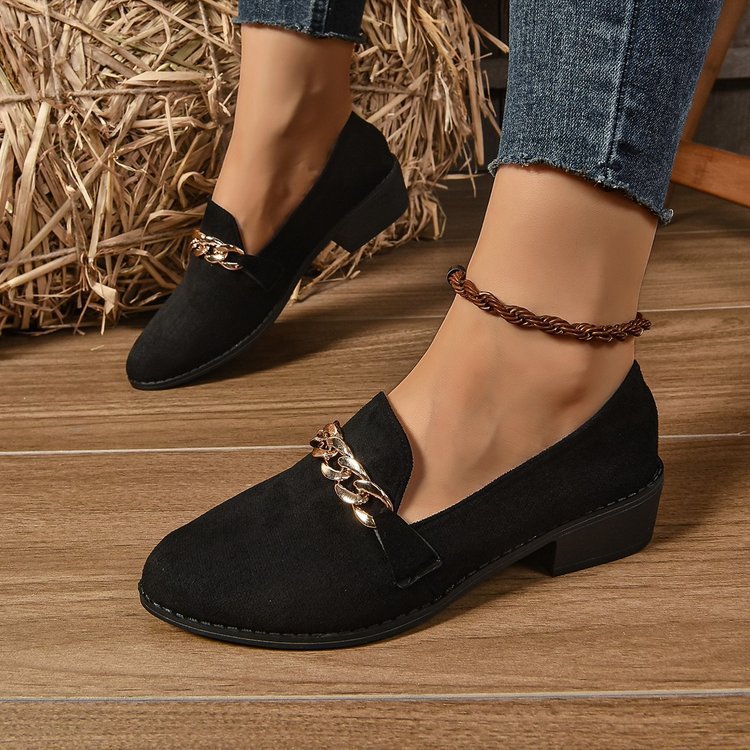 Pointed Toe Chunky Heel Stylish Casual Shoes Women CJ