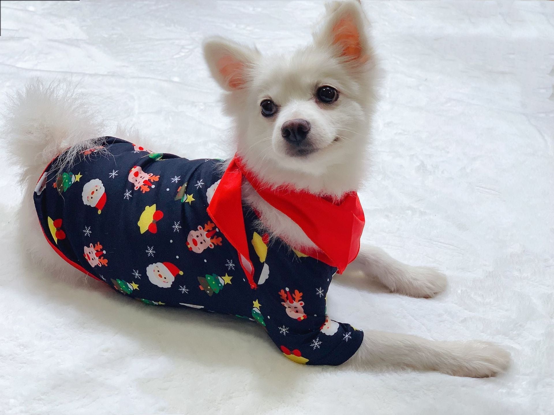 Family Christmas Matching Pajamas Set Christmas Pajamas For Family Christmas PJS Xmas Sleepwear CJ
